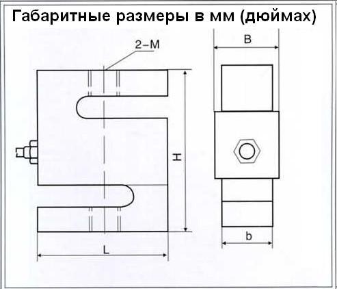 dim_b3g